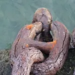 Al Molo 21 La Spezia