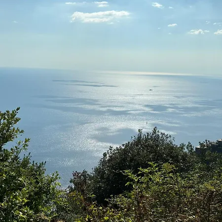 招待所 Al Molo 21