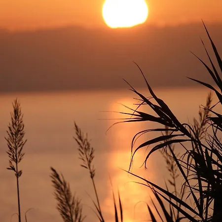 Al Molo 21 招待所 斯培西亚