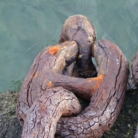 Al Molo 21 斯培西亚